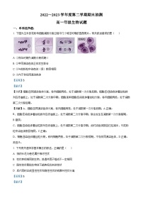 精品解析：江苏省徐州市2022-2023高一下学期期末生物试题（解析版）