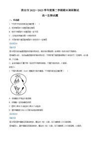 精品解析：江苏省淮安市2022-2023学年高一下学期期末调研测试生物试题（解析版）