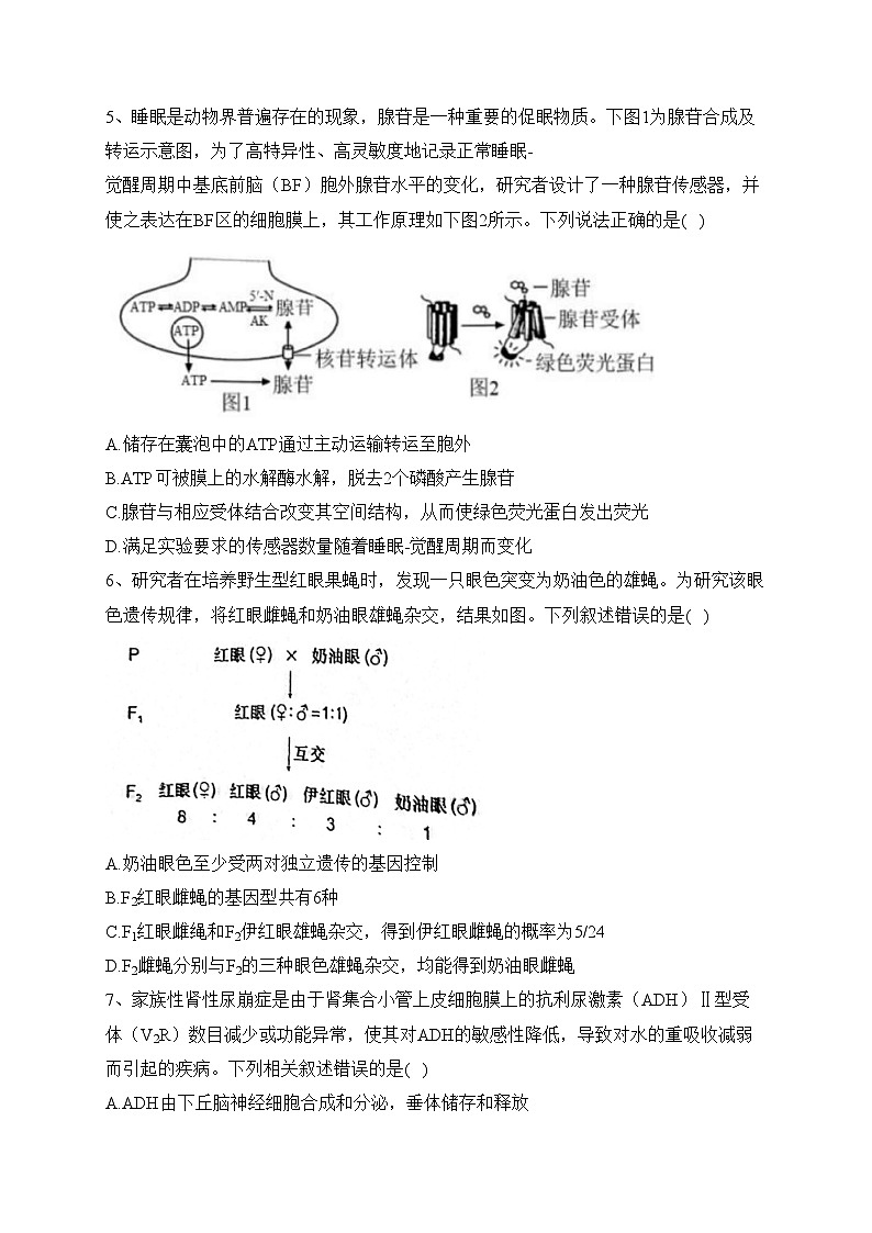 福建省2023届高三下学期4月联合测评生物试卷(含答案)第2页