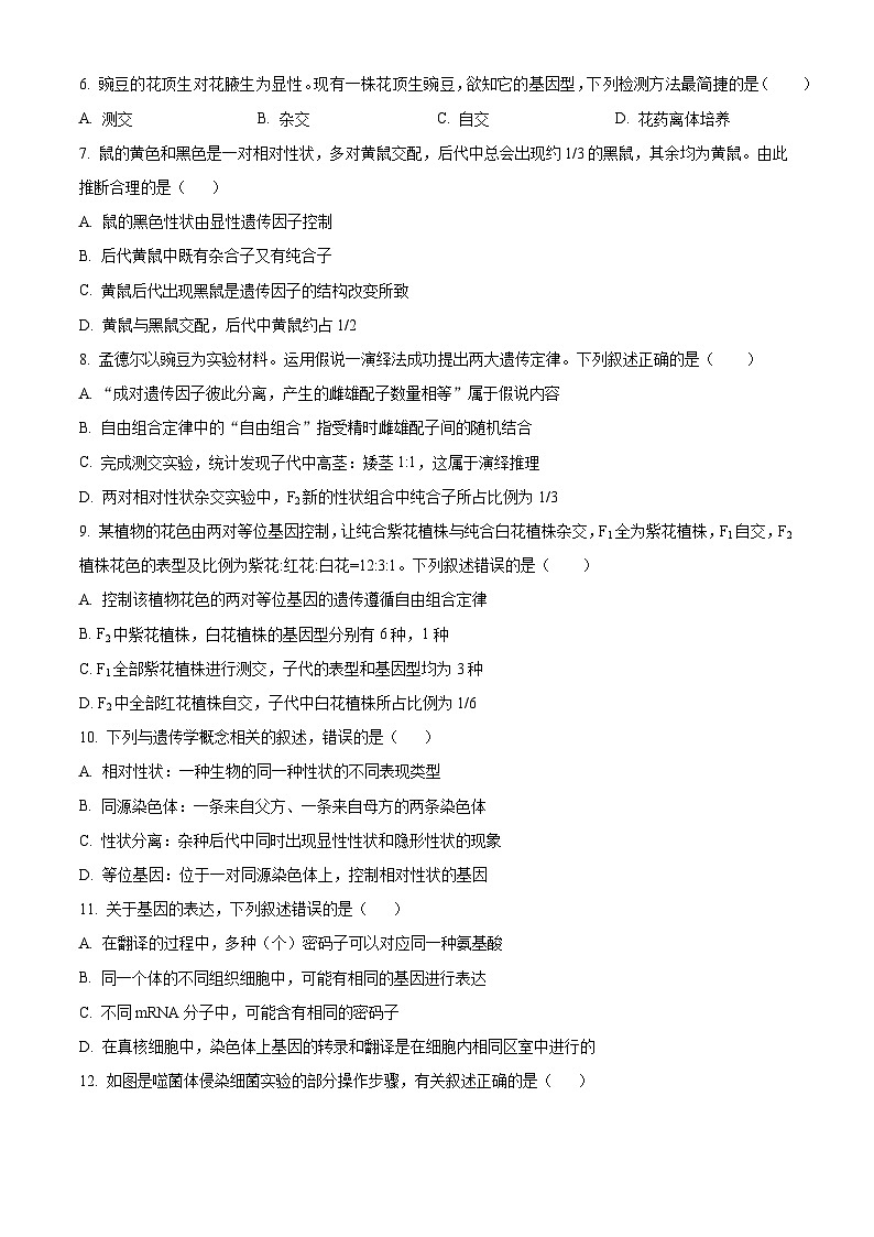 四川省泸州市泸县一中2022-2023学年高一6月期末生物试题无答案第2页
