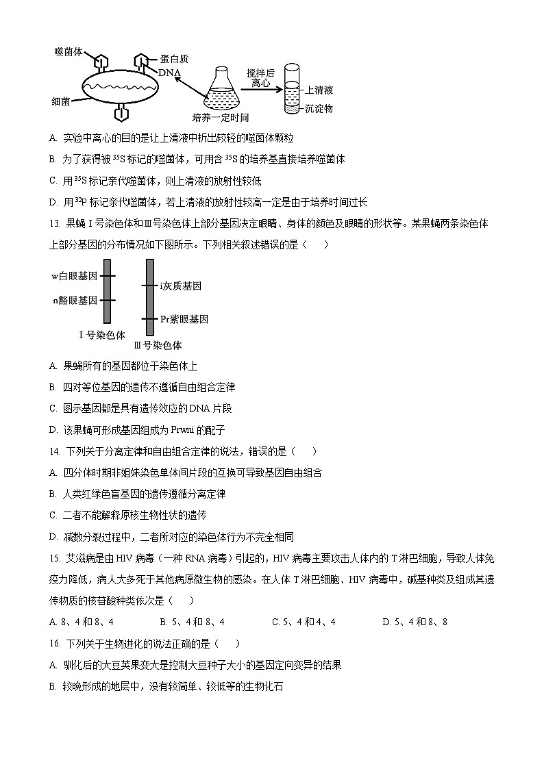 四川省泸州市泸县一中2022-2023学年高一6月期末生物试题无答案第3页