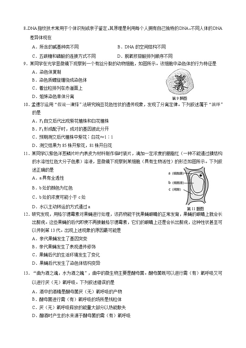 2023杭州高一下学期期末考试生物含答案02