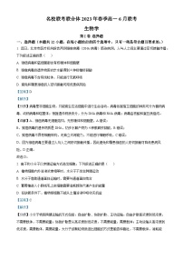 湖南省名校联考联合体2022-2023学年高一生物下学期6月期末试题（Word版附解析）