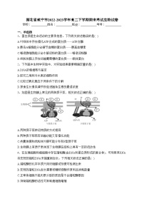 湖北省咸宁市2022-2023学年高二下学期期末考试生物试卷（含答案）