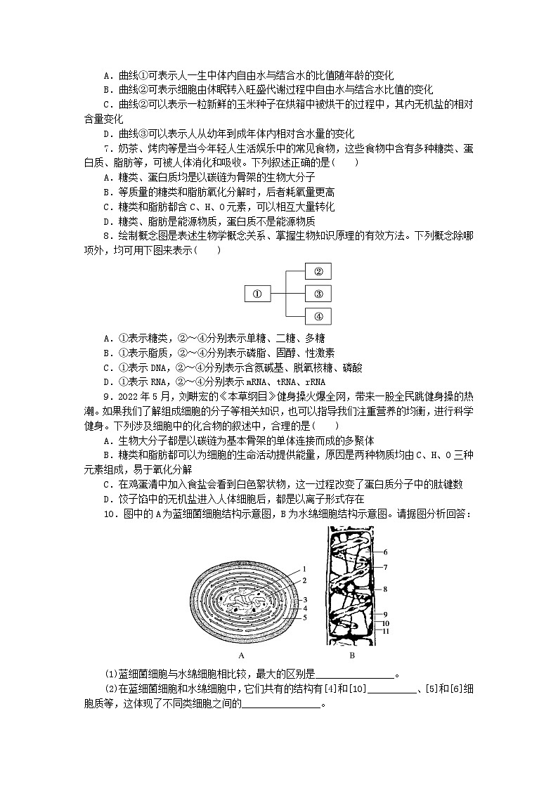 新高考2024版高考生物一轮复习微专题小练习专练8组成细胞的分子综合练02