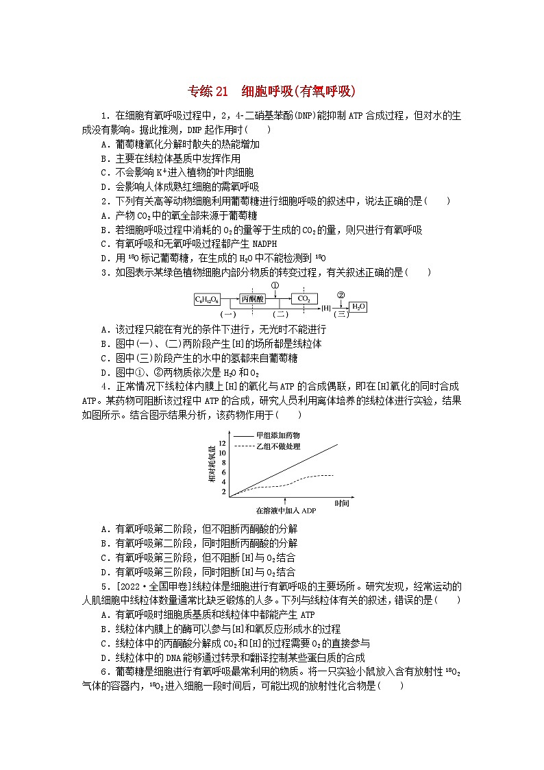 新高考2024版高考生物一轮复习微专题小练习专练21细胞呼吸有氧呼吸第1页
