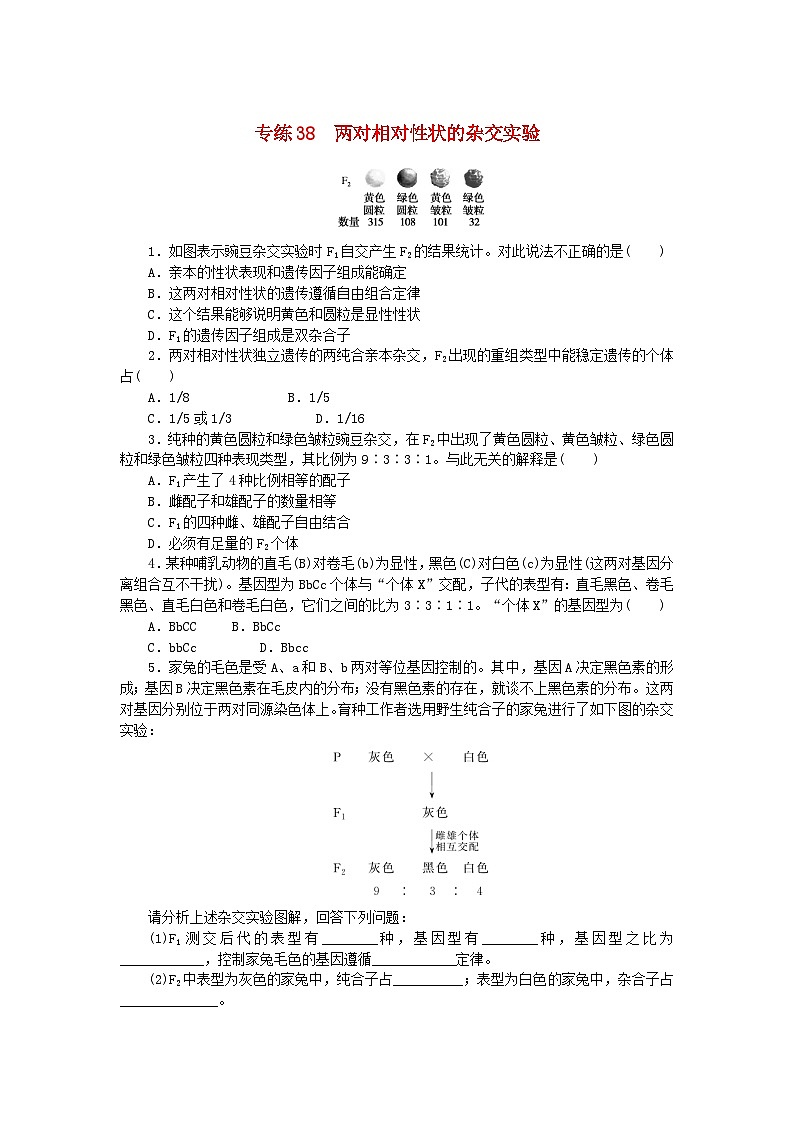 新高考2024版高考生物一轮复习微专题小练习专练38两对相对性状的杂交实验第1页
