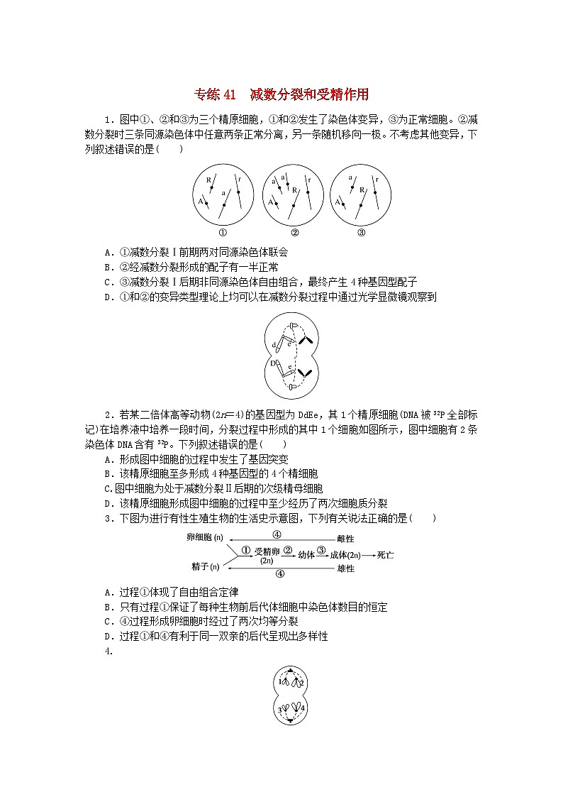 新高考2024版高考生物一轮复习微专题小练习专练41减数分裂和受精作用第1页