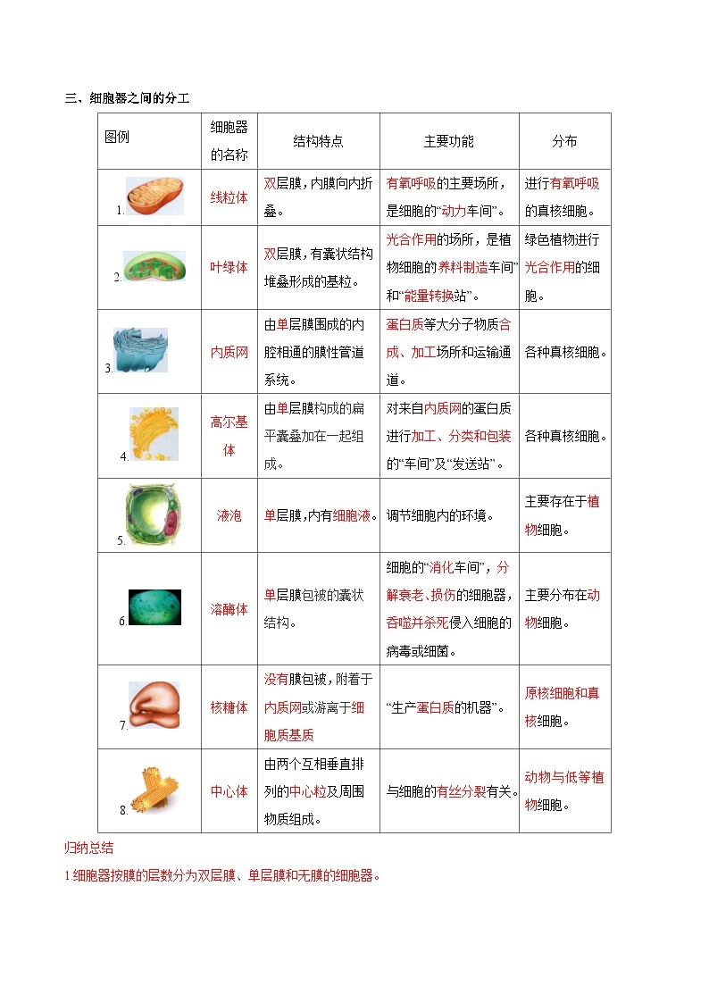 【暑假初升高】人教版生物初三（升高一）暑假预习-（必修1）第08讲 细胞器之间的分工合作  讲学案03