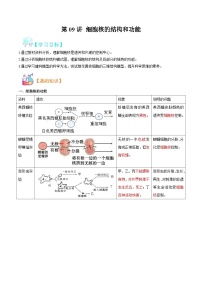 【暑假初升高】人教版生物初三（升高一）暑假预习-（必修1）第09讲 细胞核的结构和功能  讲学案