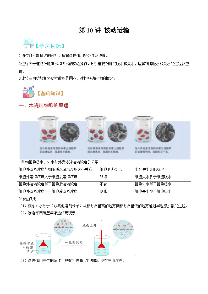 【暑假初升高】人教版生物初三（升高一）暑假预习-（必修1）第10讲 被动运输  讲学案01