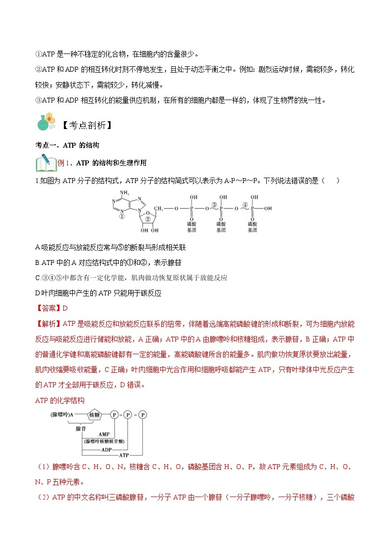 【暑假初升高】人教版生物初三（升高一）暑假预习-（必修1）第13讲 细胞的能量货币ATP  讲学案03