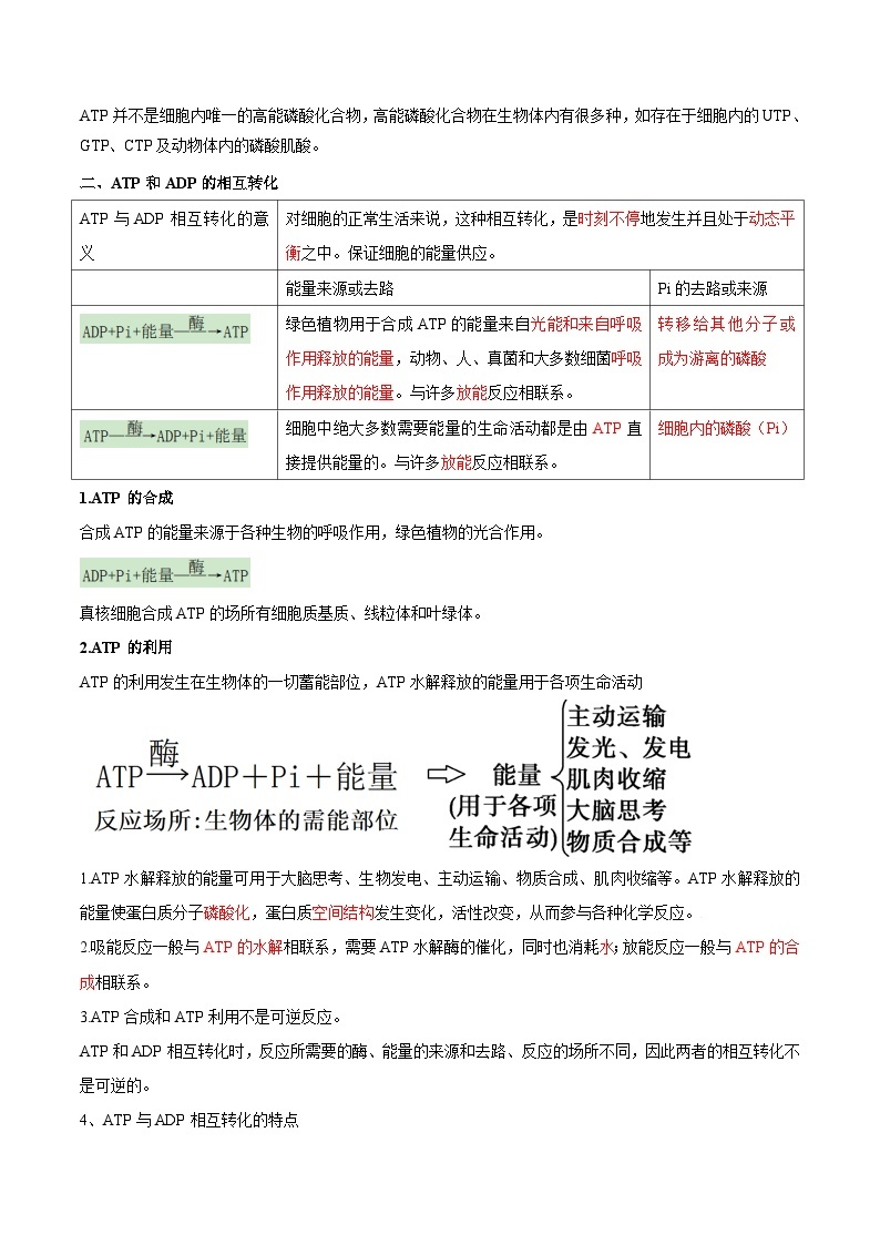 【暑假初升高】人教版生物初三（升高一）暑假预习-（必修1）第13讲 细胞的能量货币ATP  讲学案02