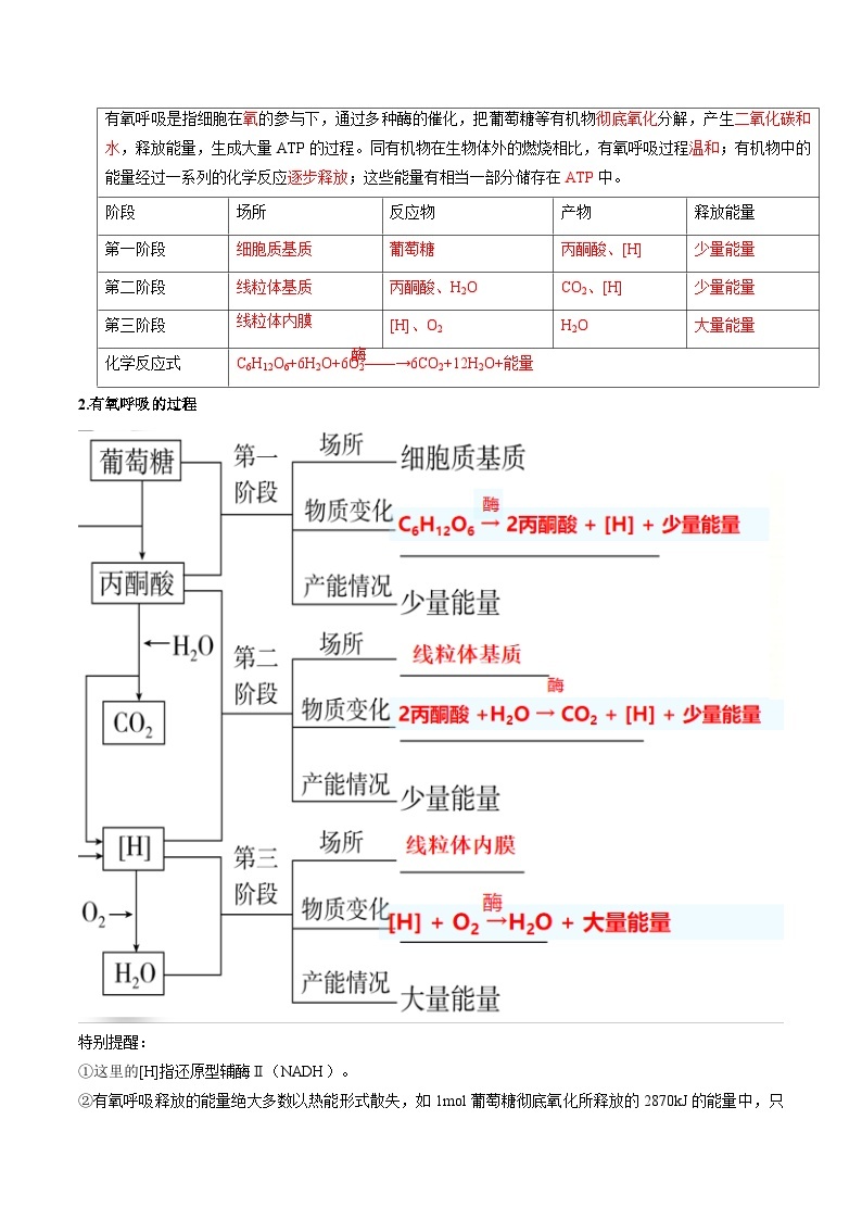 【暑假初升高】人教版生物初三（升高一）暑假预习-（必修1）第14讲 细胞呼吸的原理和应用  讲学案03