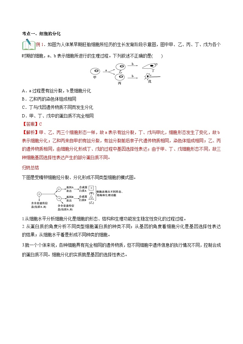 【暑假初升高】人教版生物初三（升高一）暑假预习-（必修1）第17讲 细胞的分化及衰老死亡  讲学案03