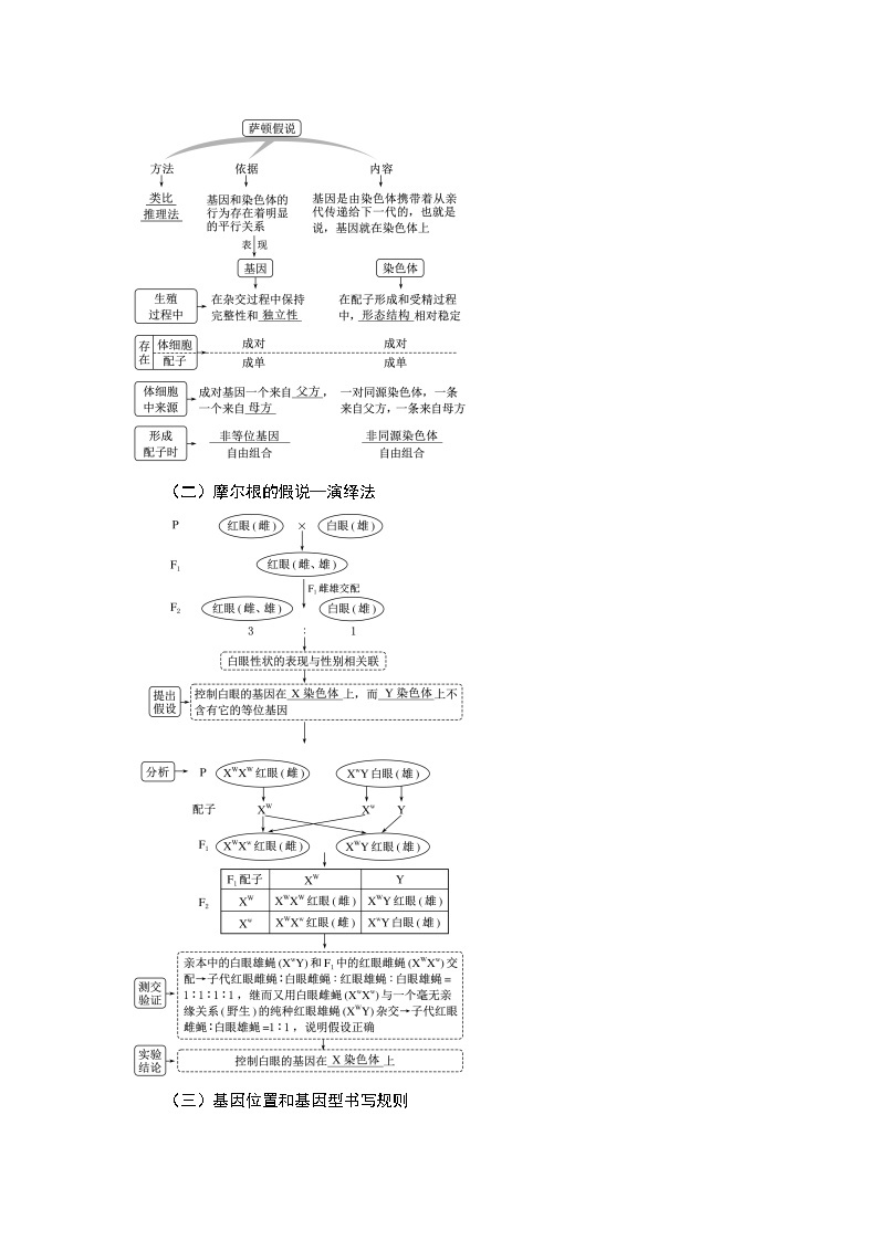 【暑假复习】人教版2019生物高一（升高二）暑假复习-（必修2）第2讲 致死问题（含不育）和基因位置 讲学案03