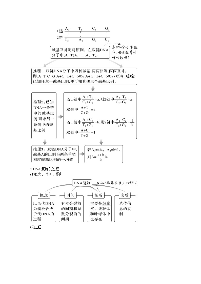 【暑假复习】人教版2019生物高一（升高二）暑假复习-（必修2）第4讲 基因的结构和功能、基因的复制和表达 讲学案02