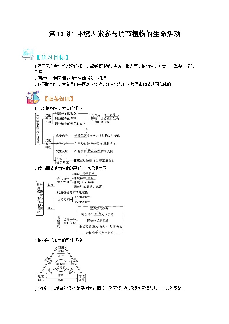 【暑假预习】人教版2019生物高一(升高二)暑假预习-(选修1)第12讲 植物生命活动的调节之环境因素参与调节植物的生命活动 讲学案01