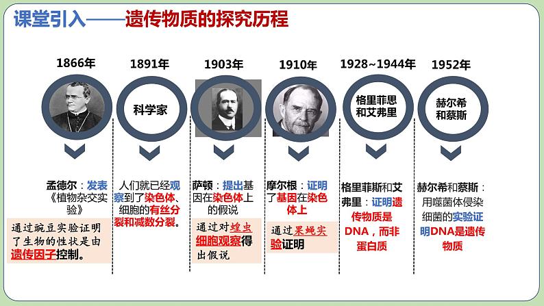 3.1DNA是主要的遗传物质(2课时)课件PPT06