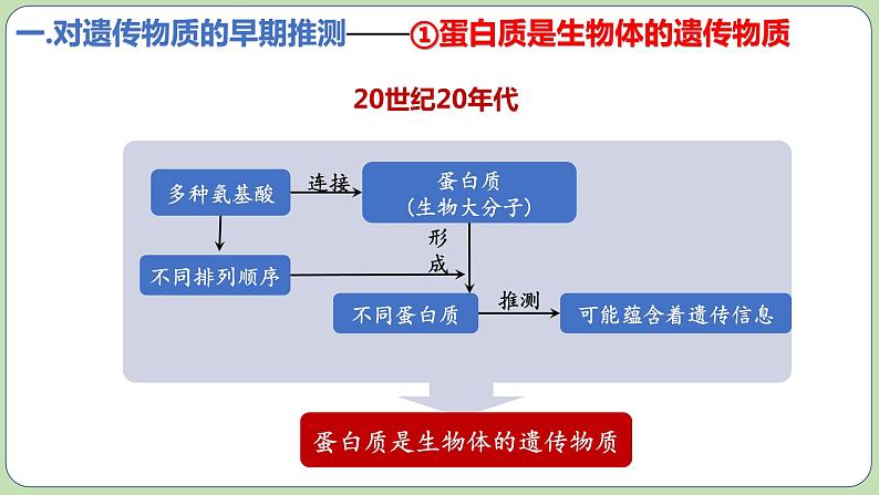 3.1DNA是主要的遗传物质(2课时)课件PPT08