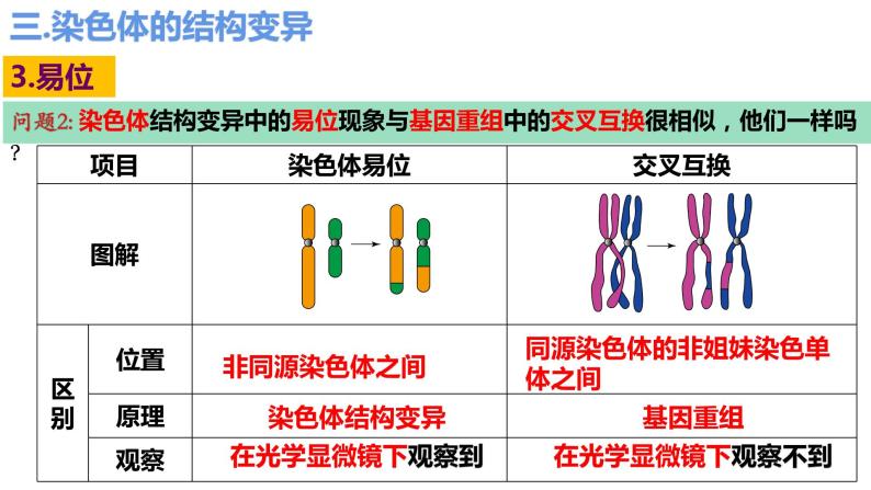 5.2染色体变异（第3课时）课件PPT07