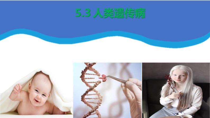5.3人类遗传病(2课时）课件PPT01