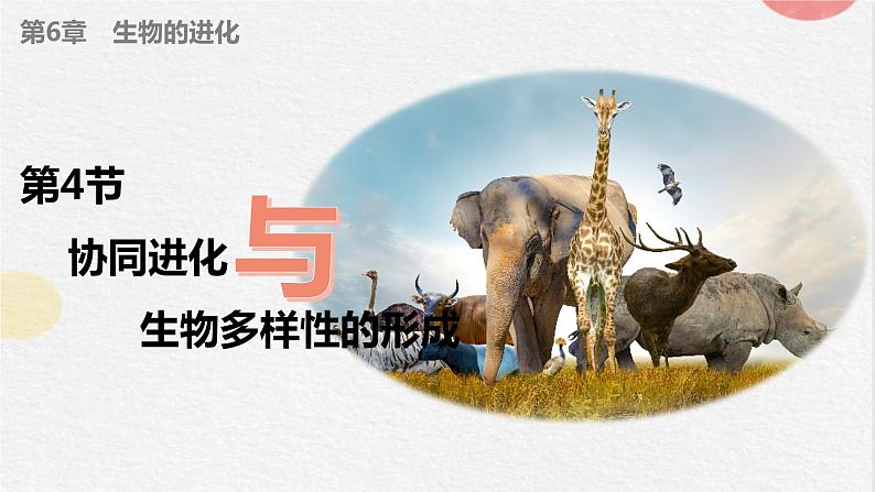 6.4协同进化与生物多样性的形成(1课时)课件PPT01