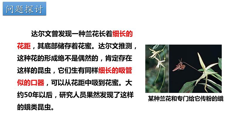 6.4协同进化与生物多样性的形成(1课时)课件PPT02