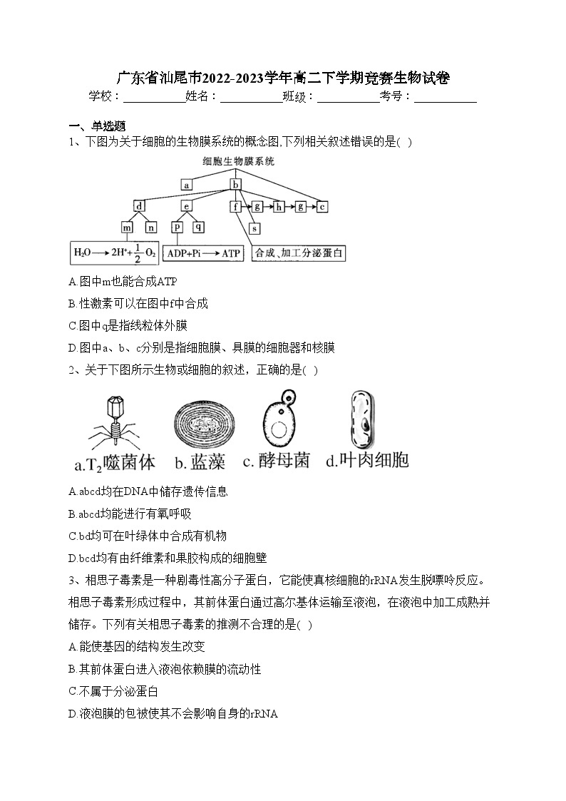 广东省汕尾市2022-2023学年高二下学期竞赛生物试卷（含答案）01