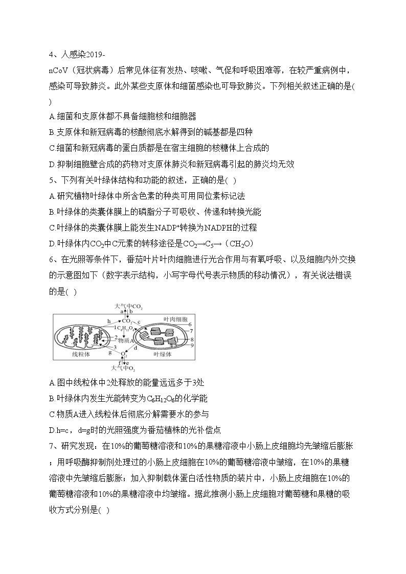 广东省汕尾市2022-2023学年高二下学期竞赛生物试卷（含答案）02