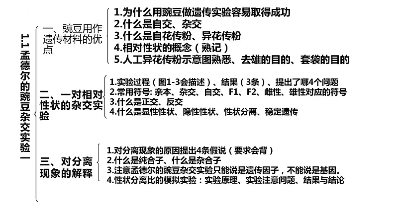 2023届高三生物一轮复习：必修二问题清单课件PPT06