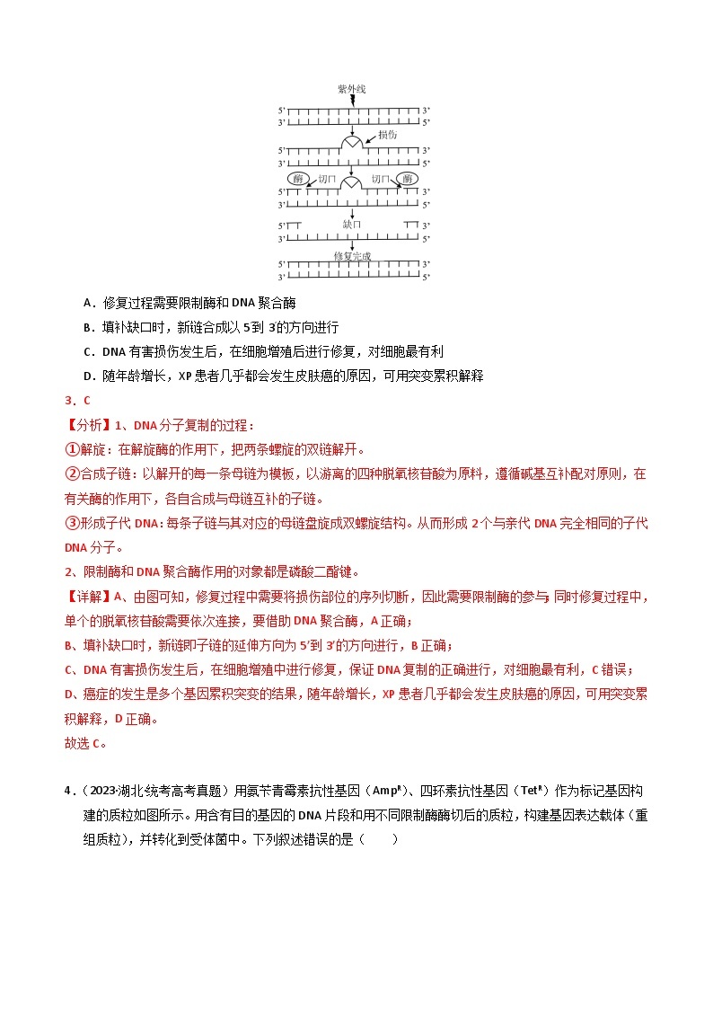 2023年高考真题和模拟题生物分项汇编（全国通用）专题18 基因工程（解析版）03