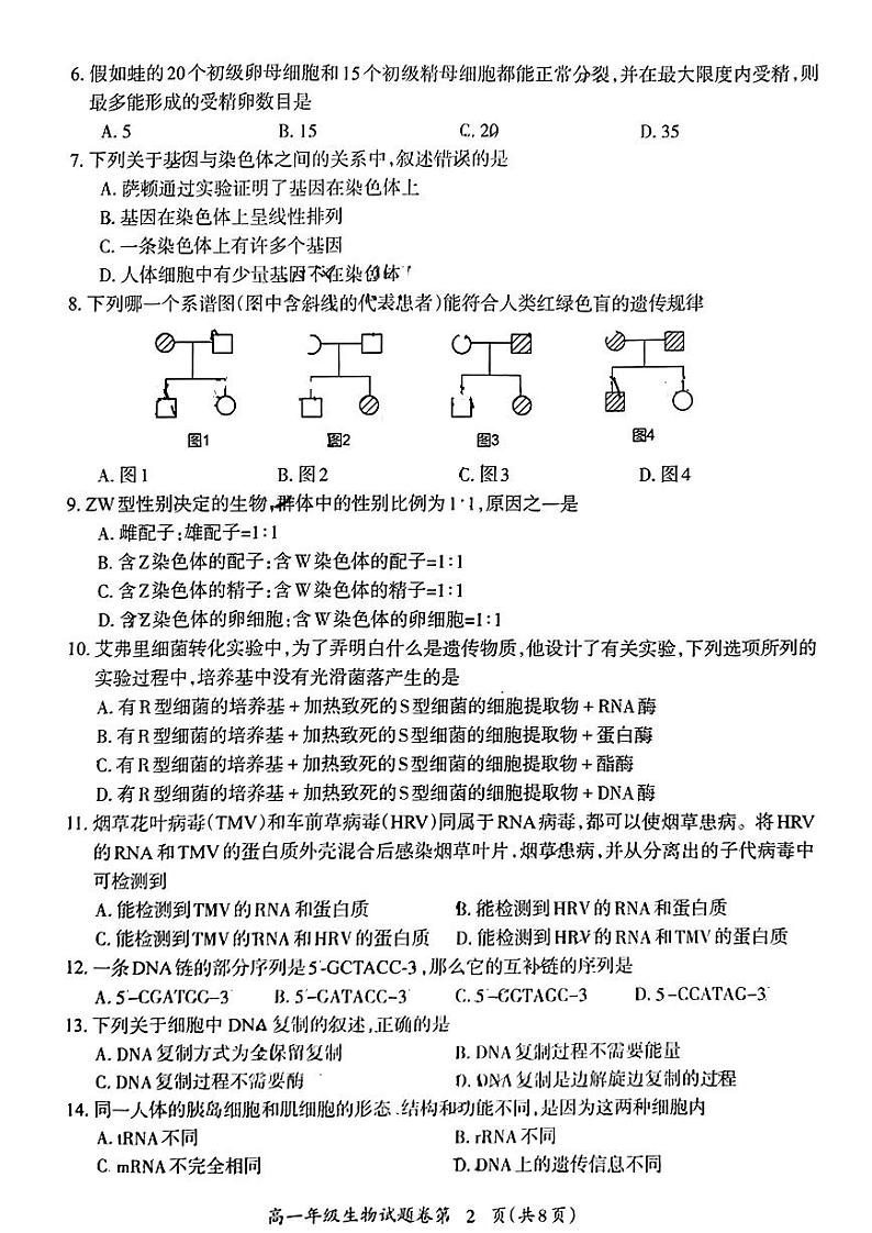 2023芜湖高一下学期期末考试生物试题PDF版含答案第2页
