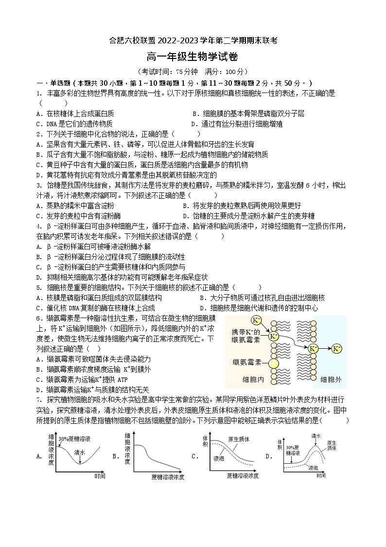 2023合肥六校联盟高一下学期期末联考生物试卷无答案01