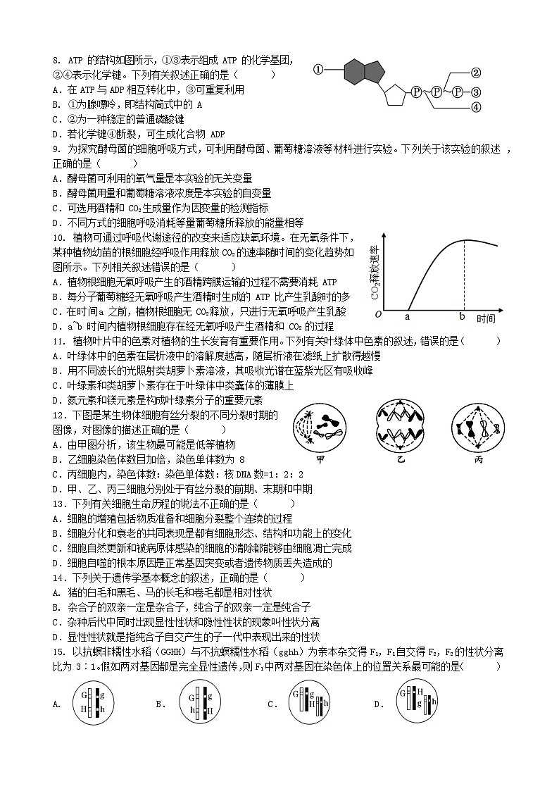 2023合肥六校联盟高一下学期期末联考生物试卷无答案02