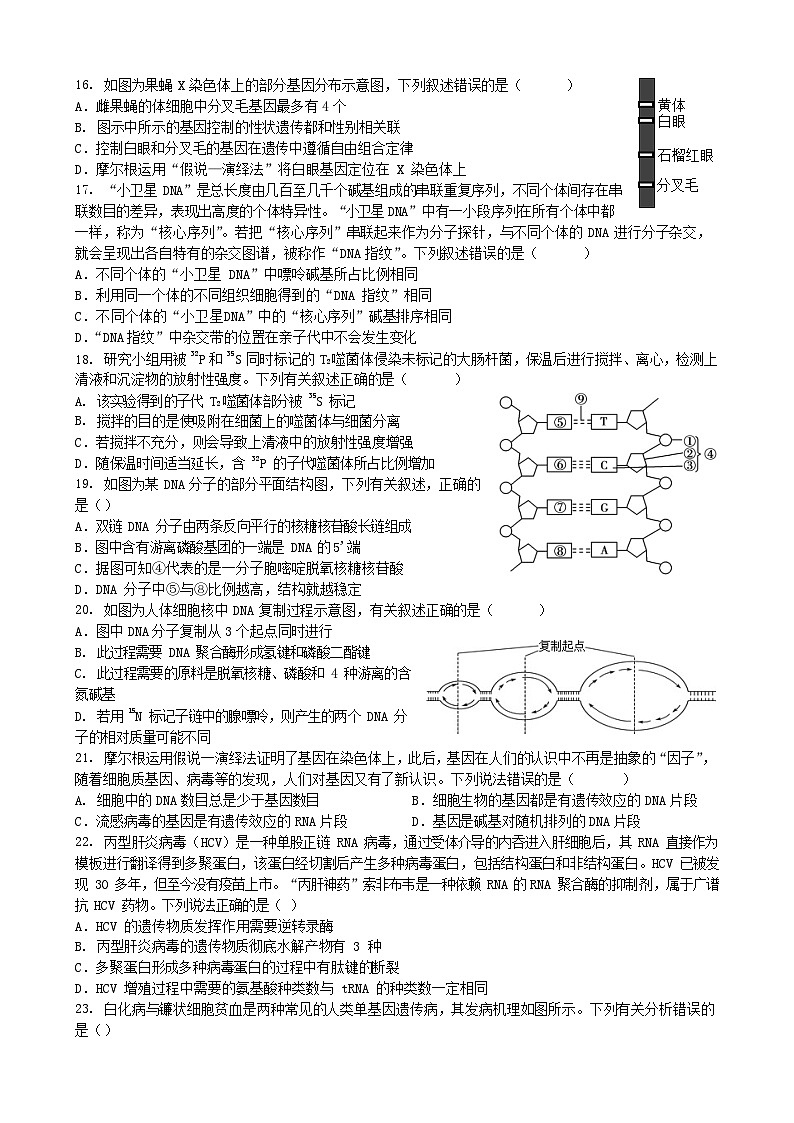2023合肥六校联盟高一下学期期末联考生物试卷无答案03