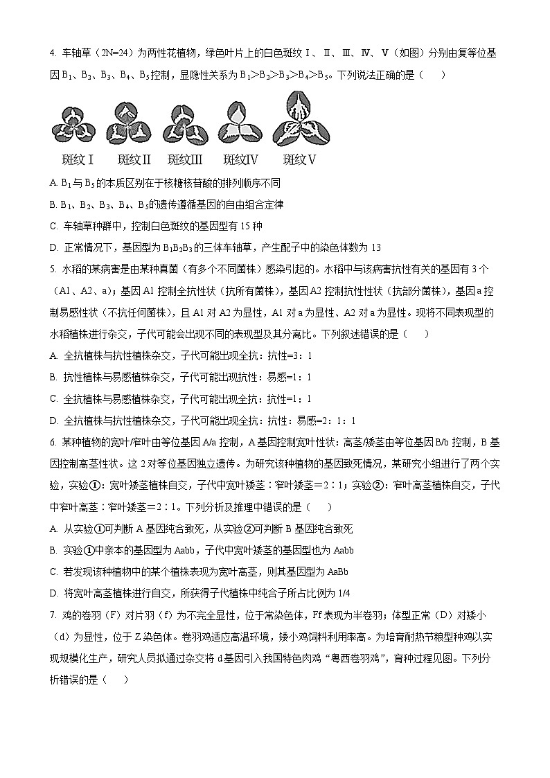 湖北省武汉外国语学校2022-2023学年高一下学期期末生物试题无答案第2页