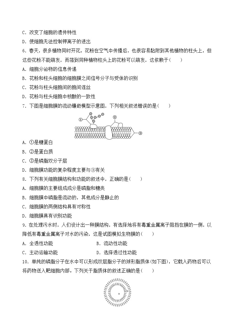 人教版2019必修一高中生物学3.1《细胞膜的结构和功能》课件+同步分层练习02