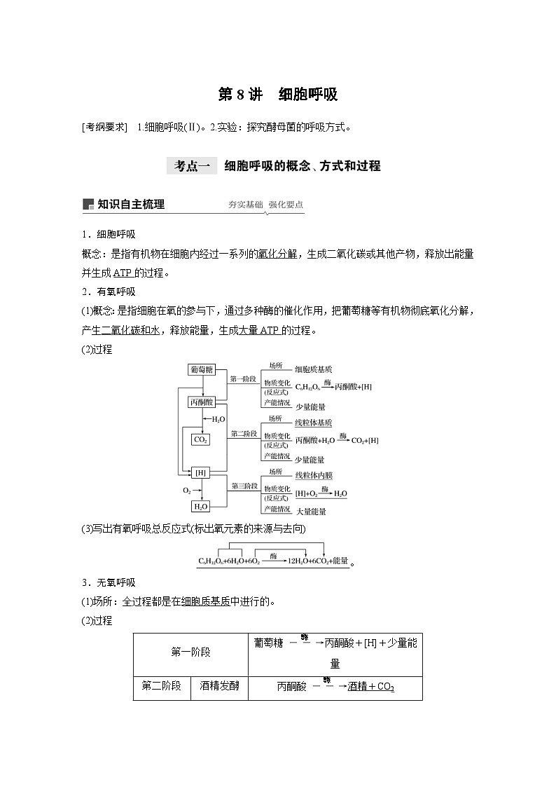 高考生物一轮复习讲练 第3单元 第8讲 细胞呼吸 (含解析)第1页