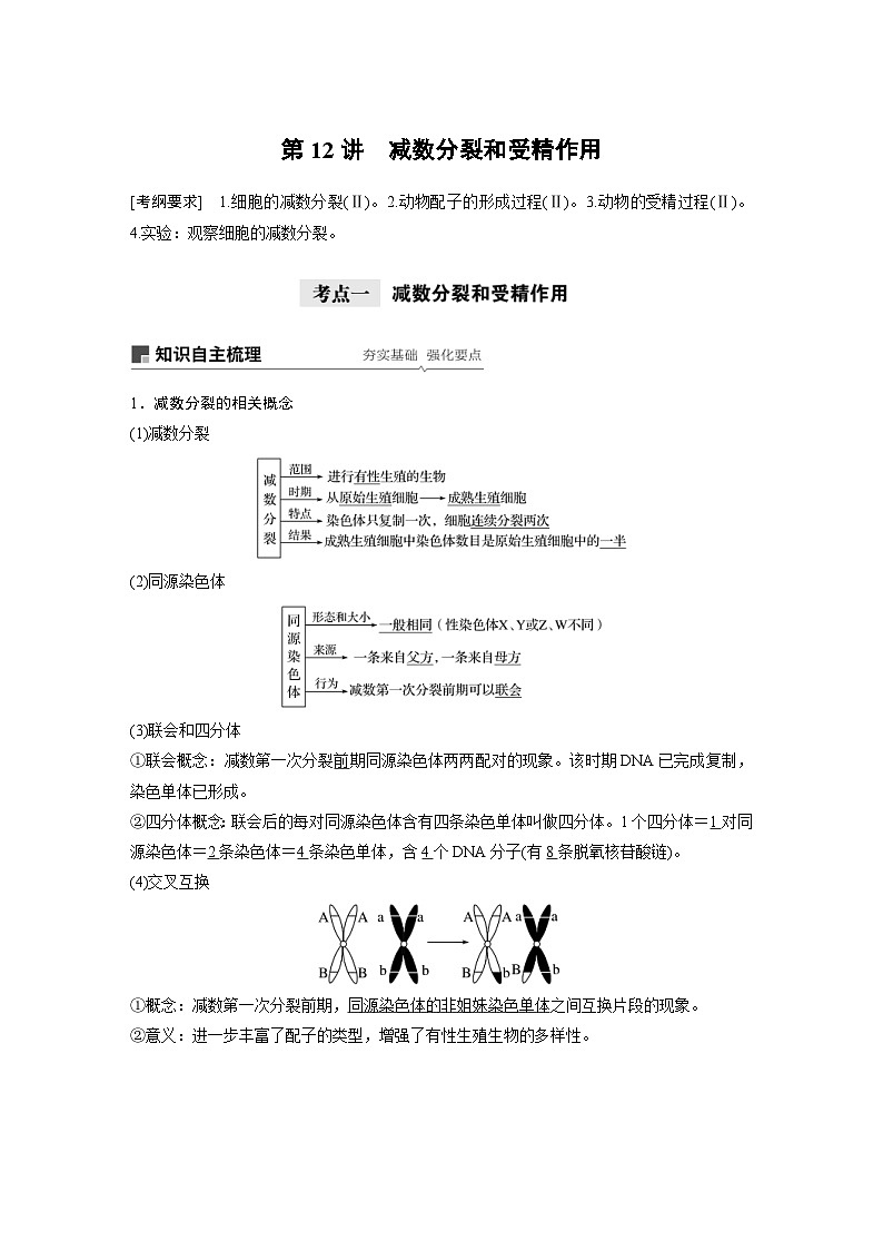高考生物一轮复习讲练 第4单元 第12讲 减数分裂和受精作用 (含解析)第1页