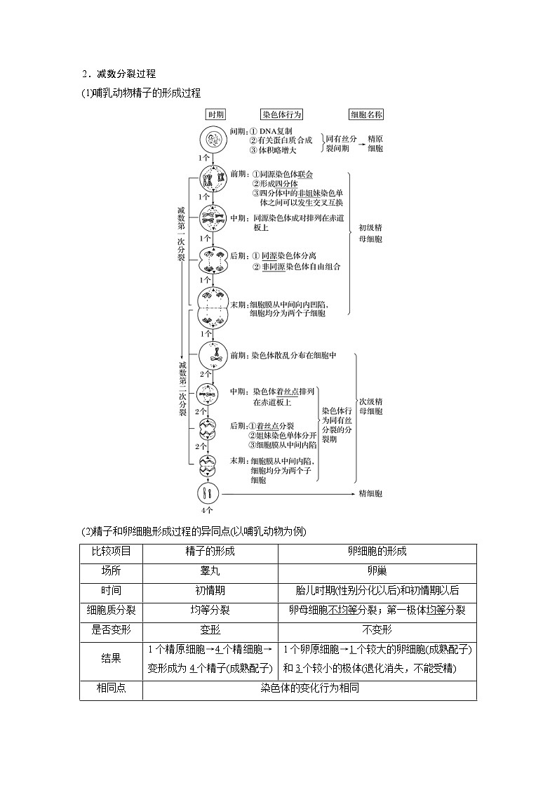 高考生物一轮复习讲练 第4单元 第12讲 减数分裂和受精作用 (含解析)第2页