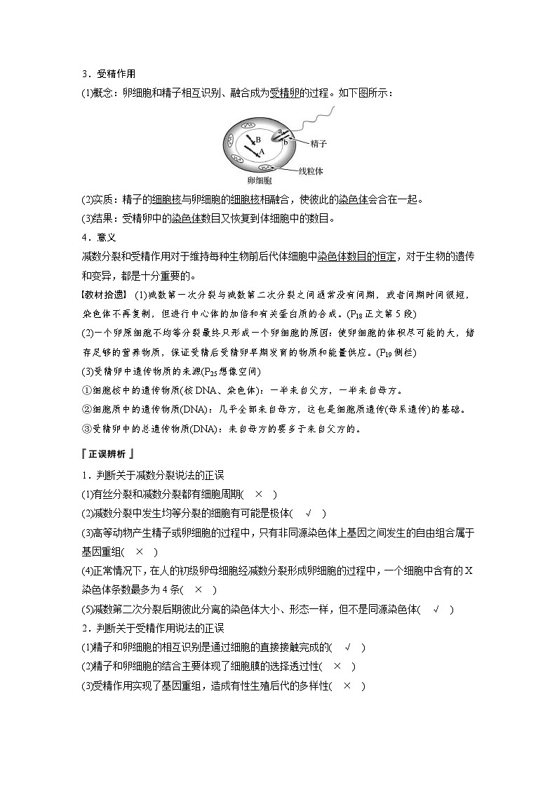 高考生物一轮复习讲练 第4单元 第12讲 减数分裂和受精作用 (含解析)第3页