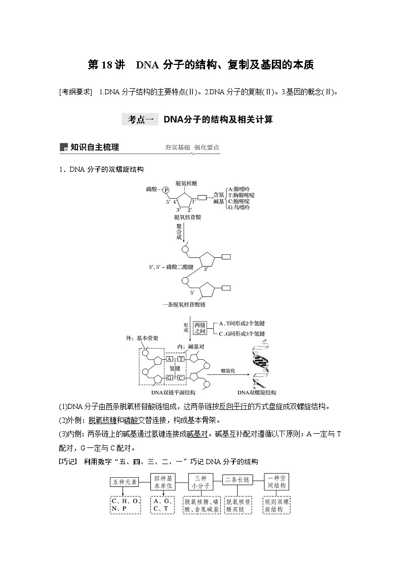 高考生物一轮复习讲练 第6单元 第18讲 DNA分子的结构、复制及基因的本质 (含解析)01