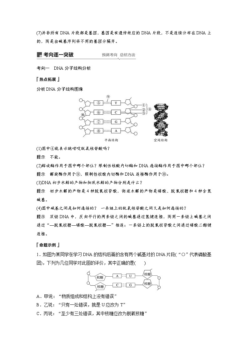 高考生物一轮复习讲练 第6单元 第18讲 DNA分子的结构、复制及基因的本质 (含解析)03