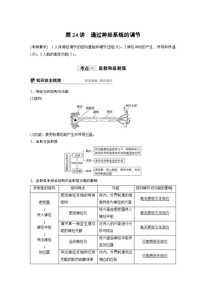 高考生物一轮复习讲练 第8单元 第24讲 通过神经系统的调节 (含解析)01