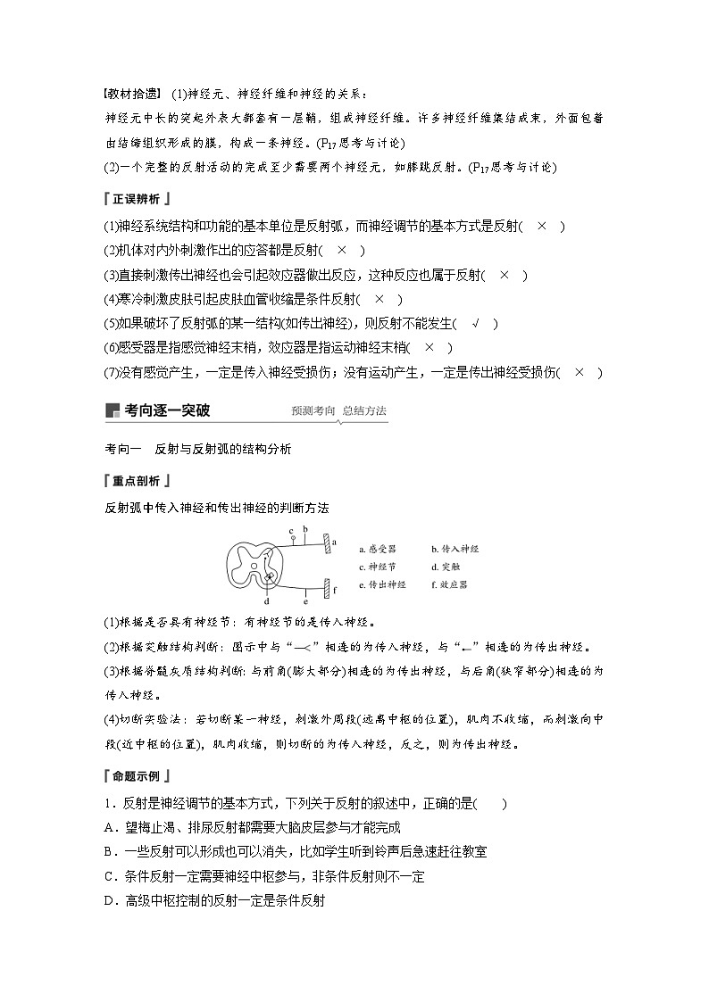高考生物一轮复习讲练 第8单元 第24讲 通过神经系统的调节 (含解析)02