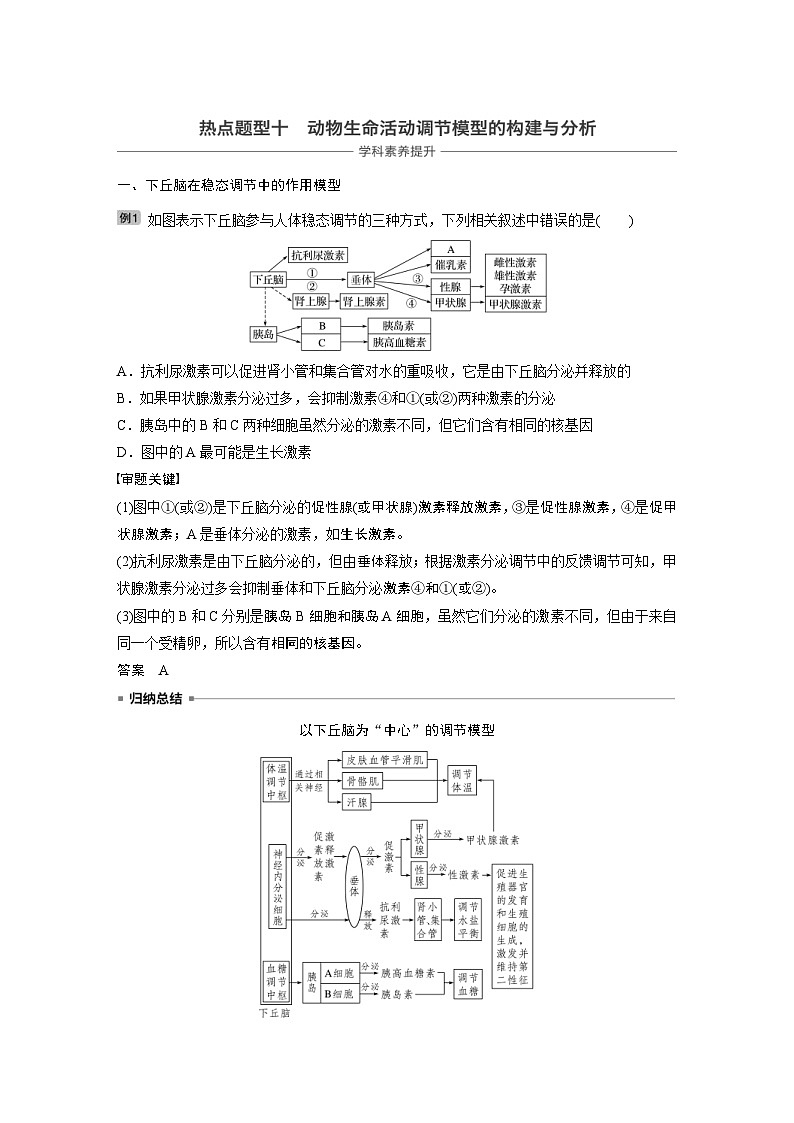 高考生物一轮复习讲练 第8单元 热点题型十 动物生命活动调节模型的构建与分析 (含解析)第1页