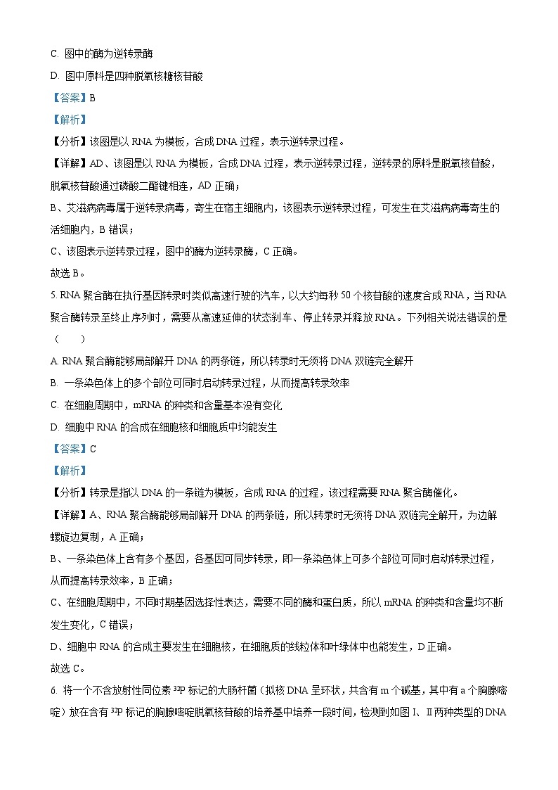 湖北省武汉市部分学校联合体2022-2023学年高一生物下学期期末联考试题（Word版附解析）03