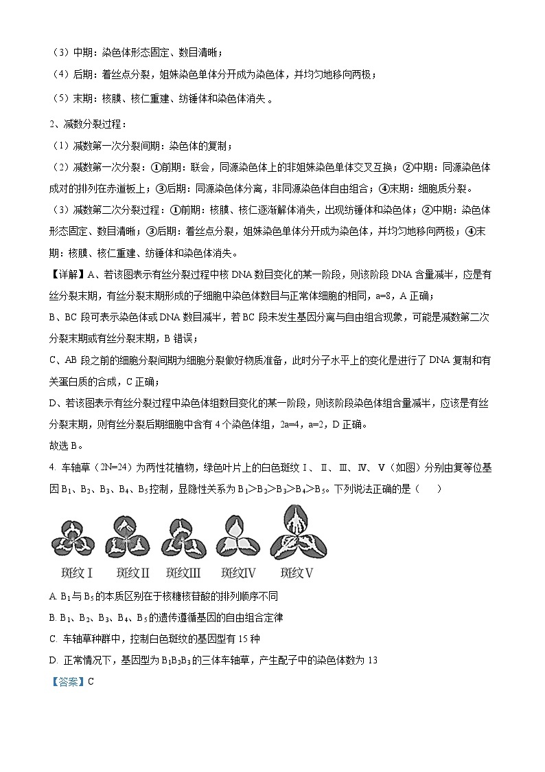 湖北省武汉外国语学校2022-2023学年高一生物下学期期末试题（Word版附解析）03