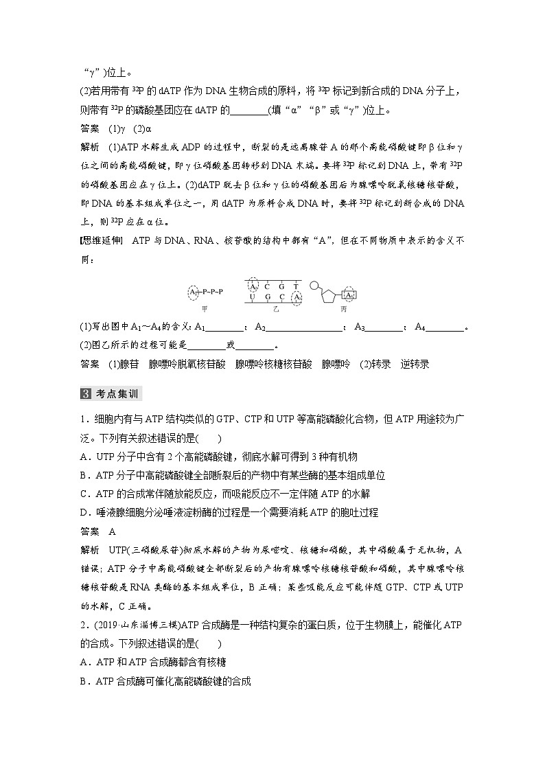 (新高考)高考生物二轮复习第1部分 专题突破 专题2 第1讲 酶和ATP(含解析)03